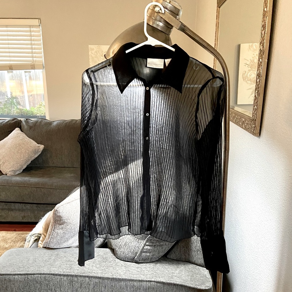 Pleated black sheer Blouse.